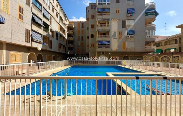 Appartement / flat - Herverkoop - Torrevieja - Acequion