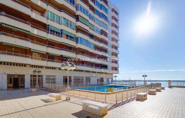 Appartement / flat - Herverkoop - Torrevieja - Acequion