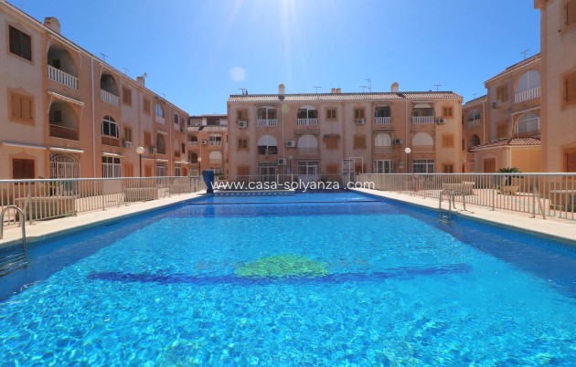 Appartement / flat - Herverkoop - Torrevieja - Acequion