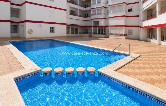 Appartement / flat - Herverkoop - Torrevieja - Center