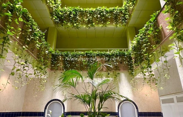 Appartement / flat - Herverkoop - Torrevieja - Center