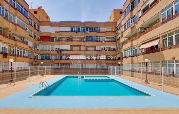 Appartement / flat - Herverkoop - Torrevieja - Center