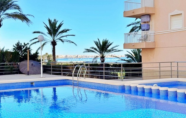 Appartement / flat - Herverkoop - Torrevieja - Costa Blanca