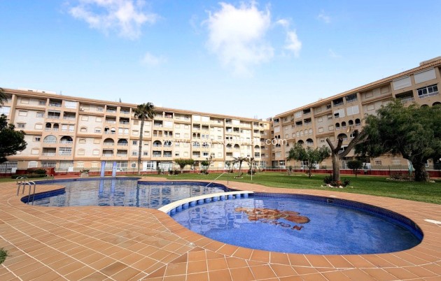 Appartement / flat - Herverkoop - Torrevieja - Costa Blanca