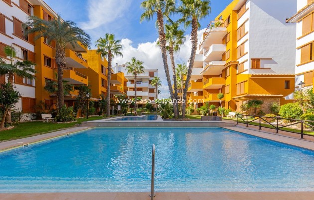 Appartement / flat - Herverkoop - Torrevieja - CSRES-26868