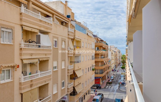 Appartement / flat - Herverkoop - Torrevieja - Estacion Autobuses
