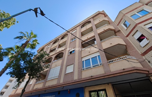 Appartement / flat - Herverkoop - Torrevieja - Estacion Autobuses