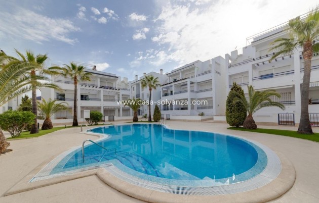 Appartement / flat - Herverkoop - Torrevieja - La veleta