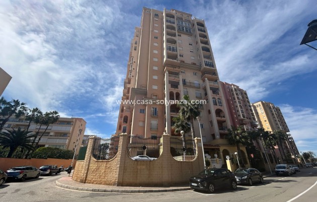 Appartement / flat - Herverkoop - Torrevieja - Torrevieja Centro