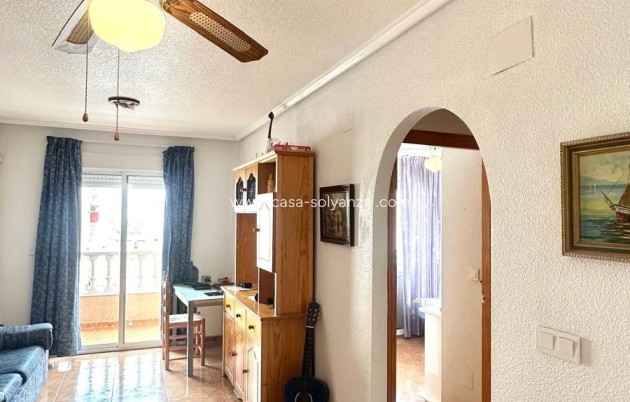 Appartement / flat - Herverkoop - Torrevieja - Torrevieja
