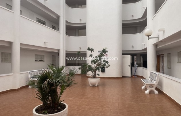 Appartement / flat - Herverkoop - Torrevieja - Torrevieja