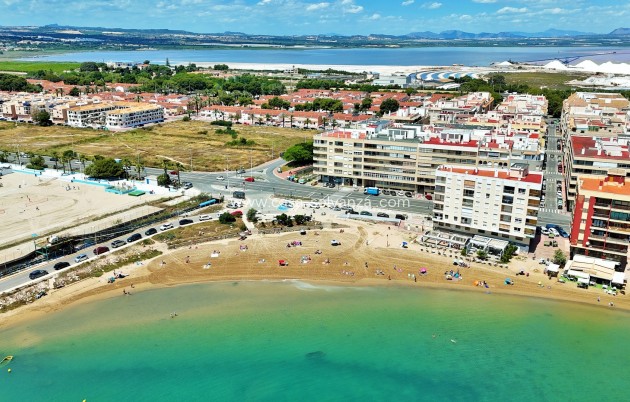 Appartement / flat - Herverkoop - Torrevieja - Torrevieja