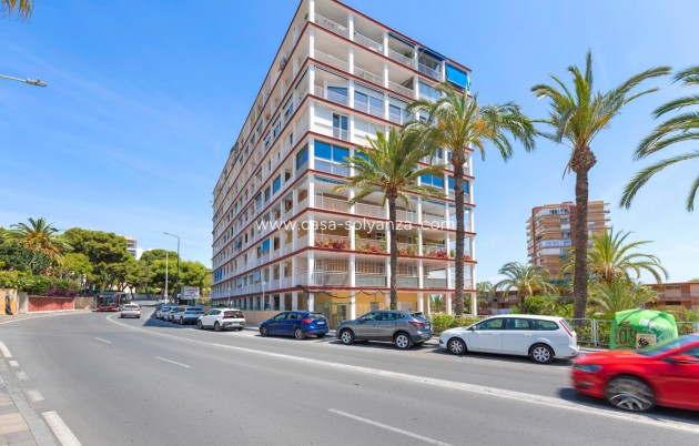 Appartement - Revente - Alicante - Alicante