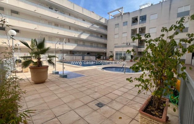 Appartement - Revente - Almoradí - almoradi