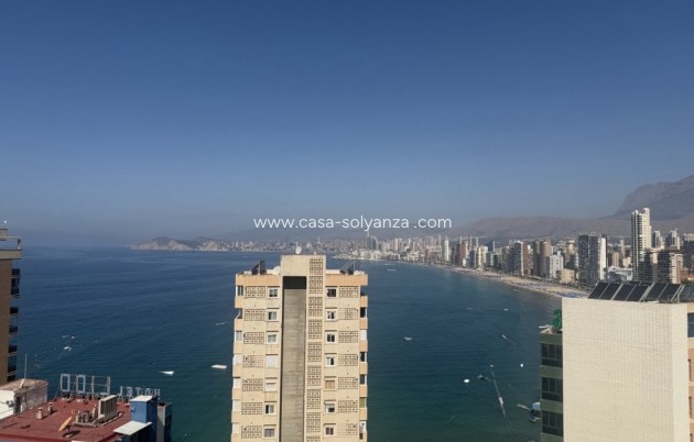 Appartement - Revente - Benidorm - Costa Blanca