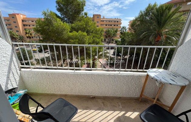 Appartement - Revente - Guardamar del Segura - Guardamar del Segura Centro