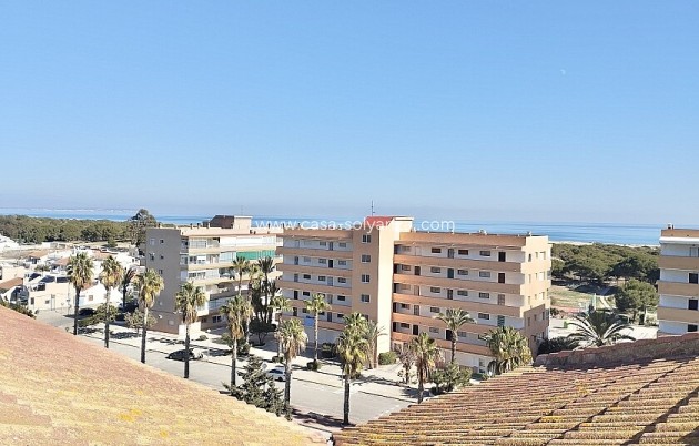 Appartement - Revente - Guardamar del Segura - Guardamar del Segura