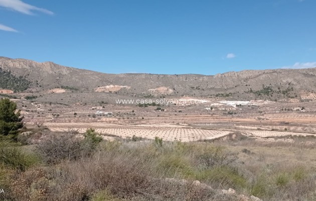 Appartement - Revente - La Romana - La Romana