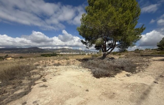 Appartement - Revente - Monóvar - Monóvar