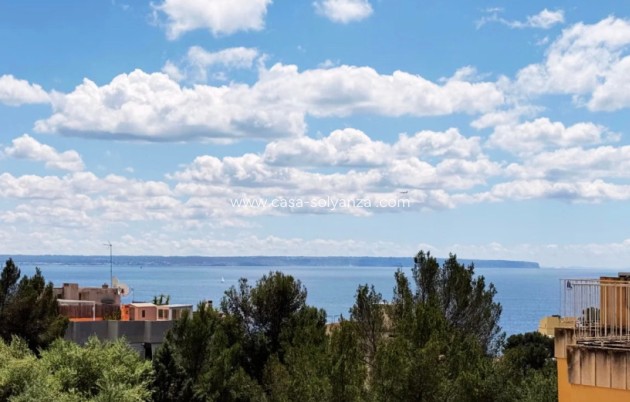 Appartement - Revente - Palma - Sant Agustí
