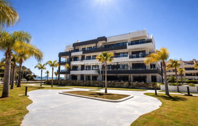 Appartement - Revente - Playa Flamenca - Costa Blanca