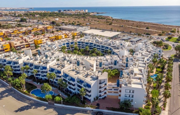 Appartement - Revente - Playa Flamenca - Playa Flamenca
