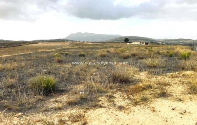 Appartement - Revente - Torre del Rico - Torre del Rico