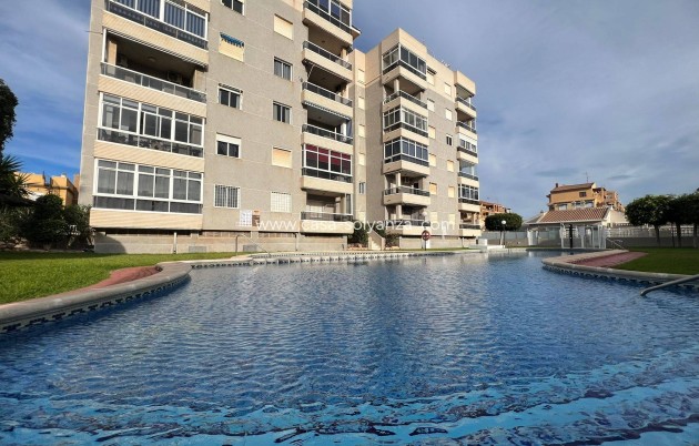 Appartement - Revente - Torrevieja - Aguas nuevas