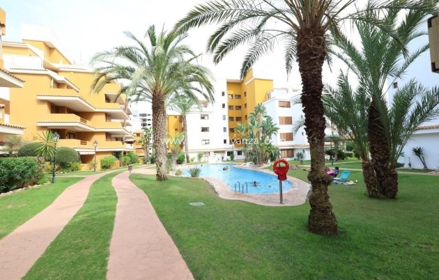 Appartement - Revente - Torrevieja - Costa Blanca