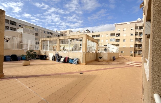 Appartement - Revente - Torrevieja - Costa Blanca