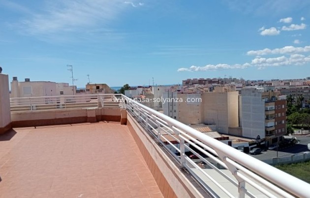 Appartement - Revente - Torrevieja - Costa Blanca
