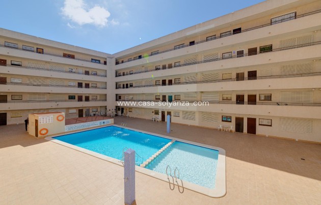 Appartement - Revente - Torrevieja - CSRES-19316