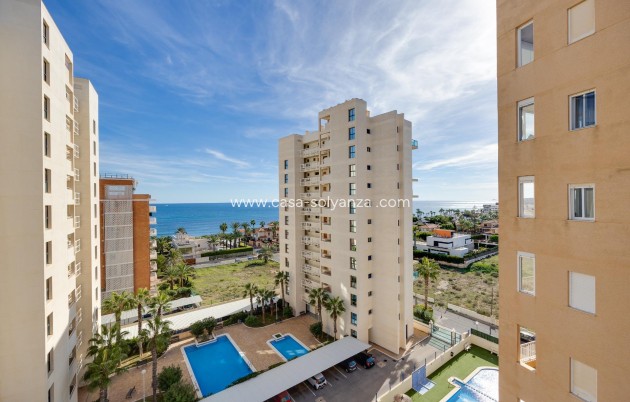 Appartement - Revente - Torrevieja - La veleta