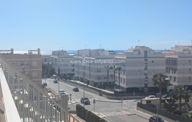 Appartement - Revente - Villamartin - Costa Blanca