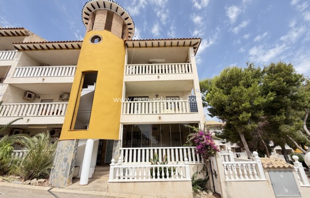Appartement - Revente - Villamartin - Villamartín