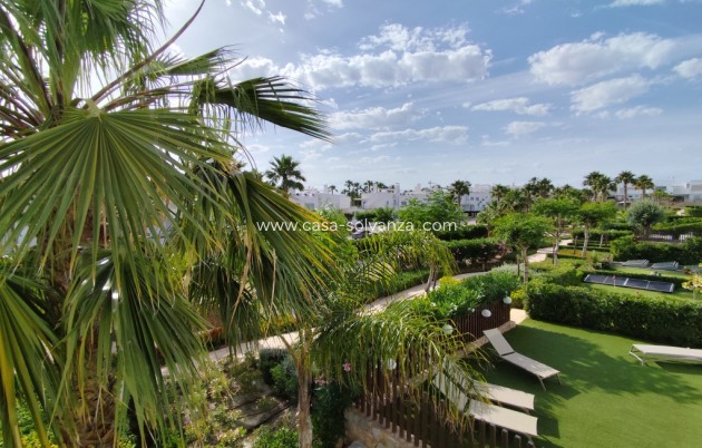 Appartement - Revente - Vistabella Golf - Vistabella Golf