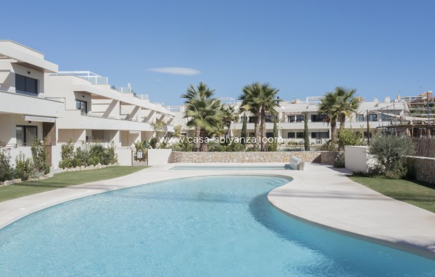 Bungalow - Neue Gebäude - Torrevieja - Torrevieja