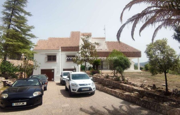 Comercial - Reventa - Ayora - Ayora