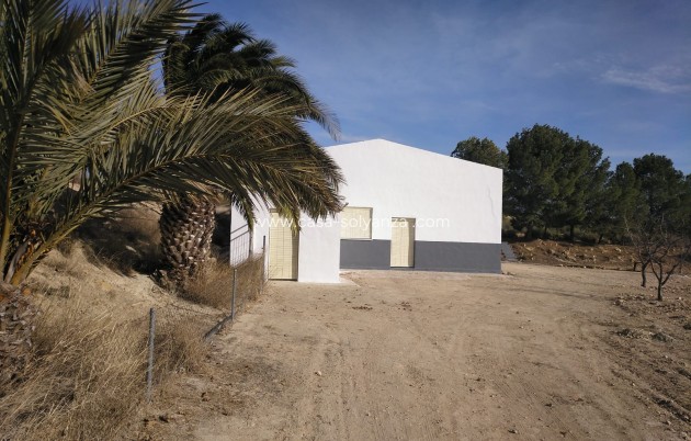 Comercial - Reventa - Yecla - Inland