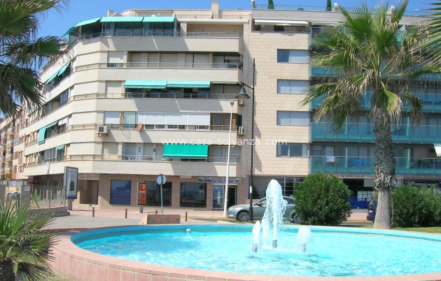 Commercial Property - Herverkoop - Torrevieja - Torrevieja