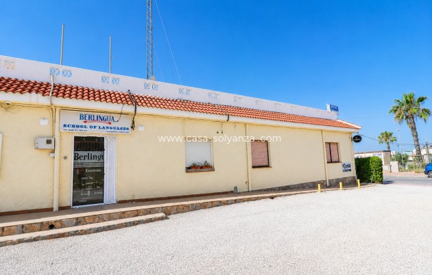 Commercial (Rental) - Wiederverkauf - Ciudad Quesada - Doña Pepa
