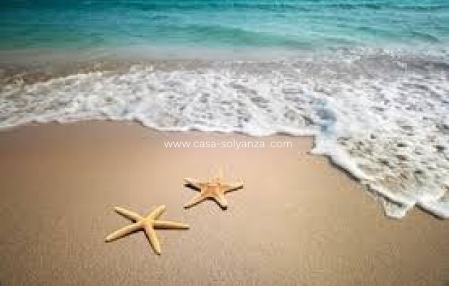 Commercial - Resale - Murcia - Murcia