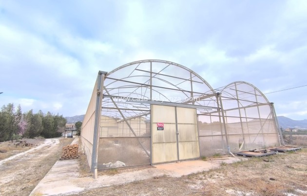 Commercial - Revente - Aspe - Inland