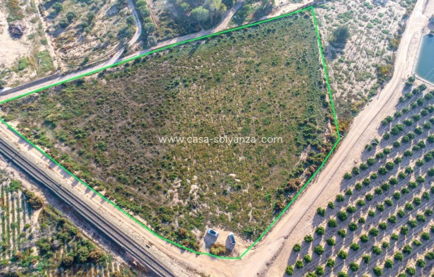 Country Land - Resale - Crevillente - Comunidad valenciana