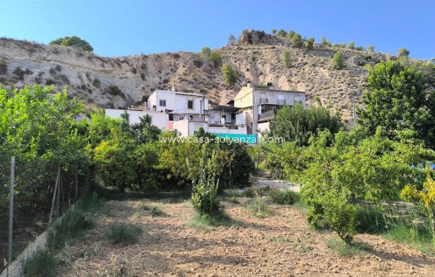 Country Property/Finca - Herverkoop - Abarán - Abarán Centro