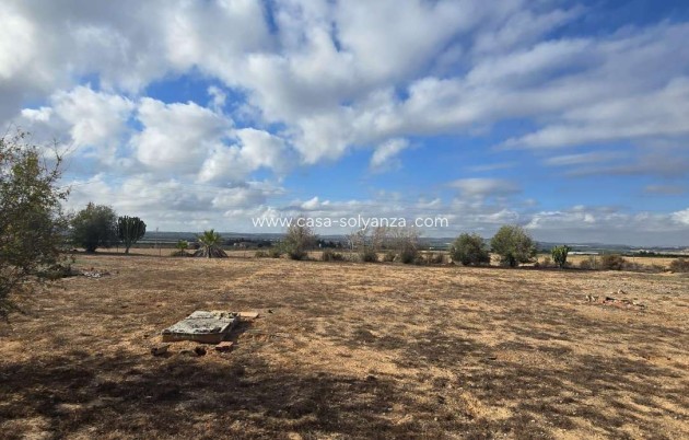 Country Property/Finca - Herverkoop - Los Montesinos - Los Montesinos