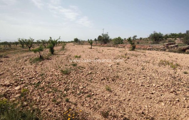 Country Property/Finca - Herverkoop - Pinoso - CSAV-58521