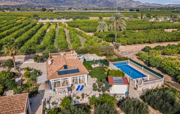 Country Property/Finca - Resale - Albatera - Albatera