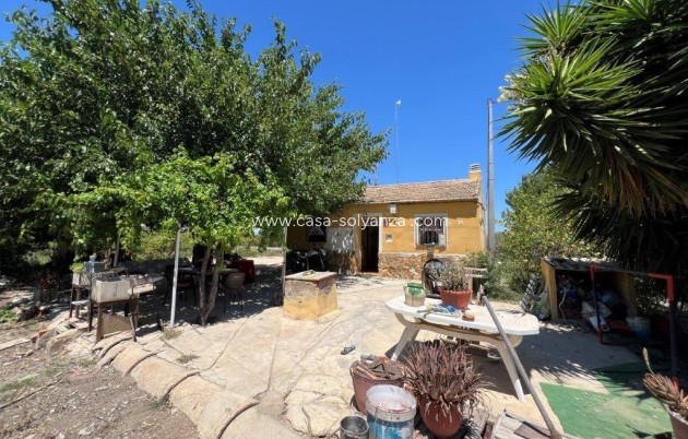 Country Property/Finca - Resale - Daya Nueva - almoradi