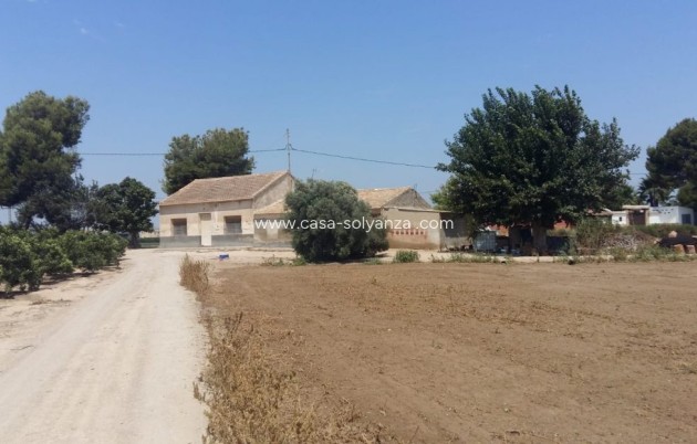 Country Property/Finca - Resale - Daya Nueva - Costa Blanca